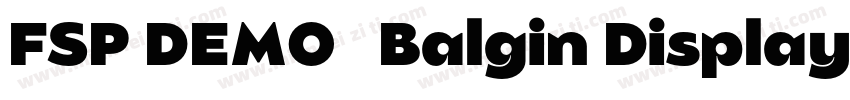 FSP DEMO   Balgin Display Black Bol字体转换